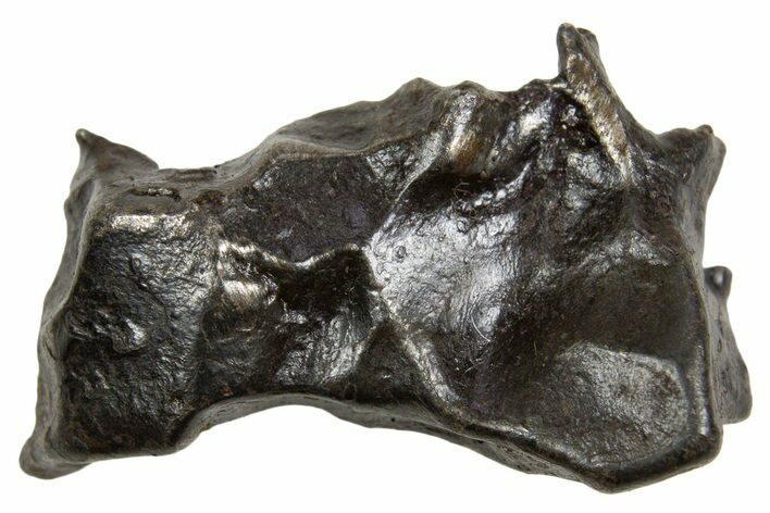 Fusion Crusted Sikhote-Alin Iron Meteorite ( g) - Russia #334615